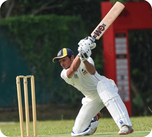 Cricket